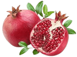 Mak Life Pomegranate Farming